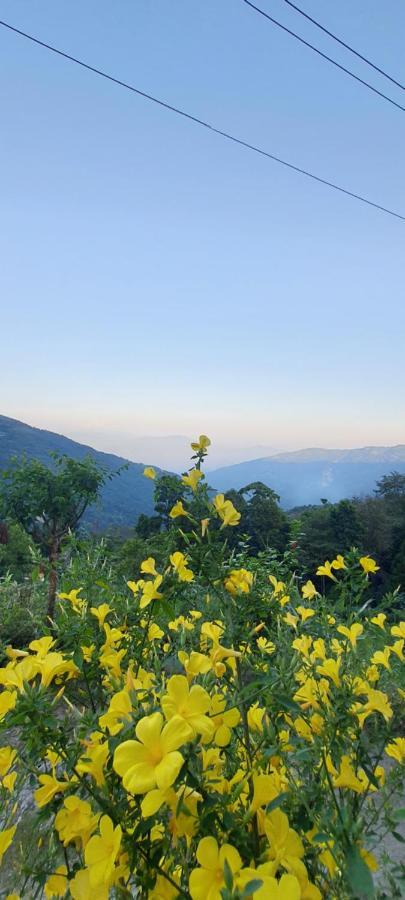 New Bloom Homestay Kurseong Exterior foto